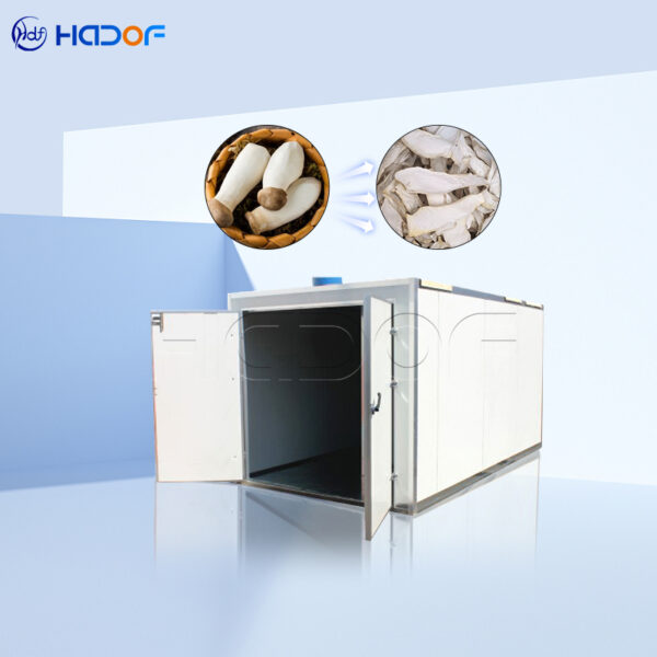 Abalone Mushroom Drying Oven