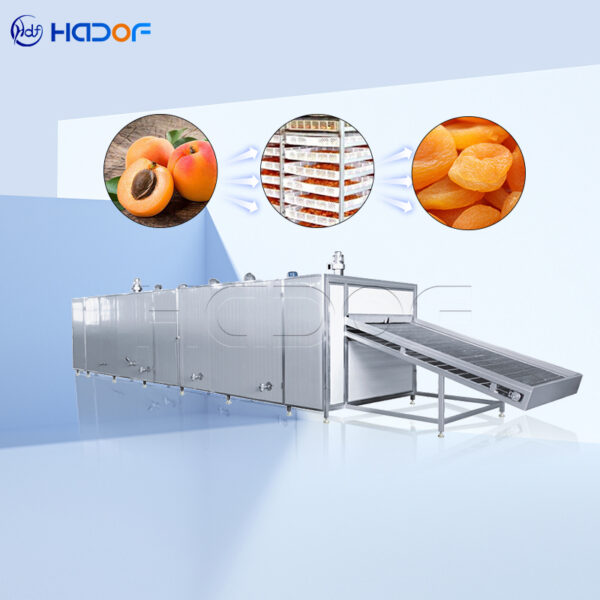 Apricot Mesh Belt Dryer
