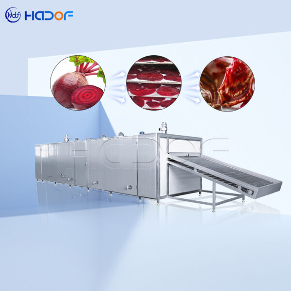 Beet Root Mesh Belt Dryer