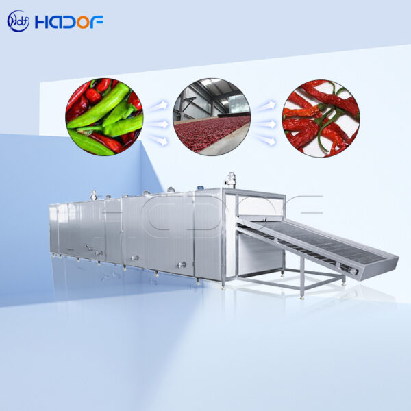 Chili Mesh Belt Dryer