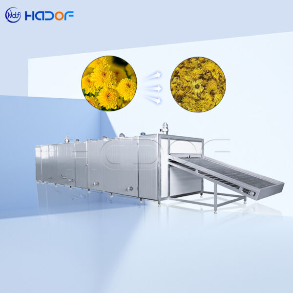 Chrysanthemum Mesh Belt Dryer