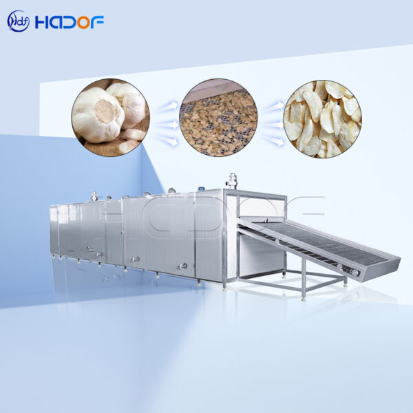 Garlic Mesh Belt Dryer