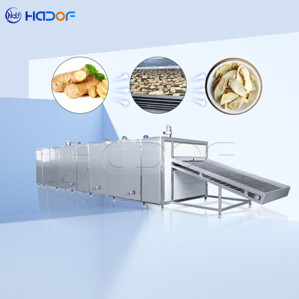 Ginger Mesh Belt Dryer