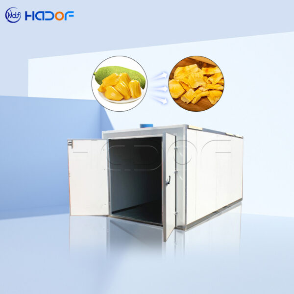 Jackfruit Drying Oven