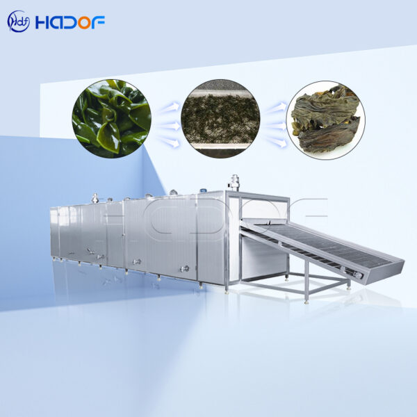 Kelp Mesh Belt Dryer