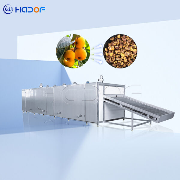 Loquat Mesh Belt Dryer