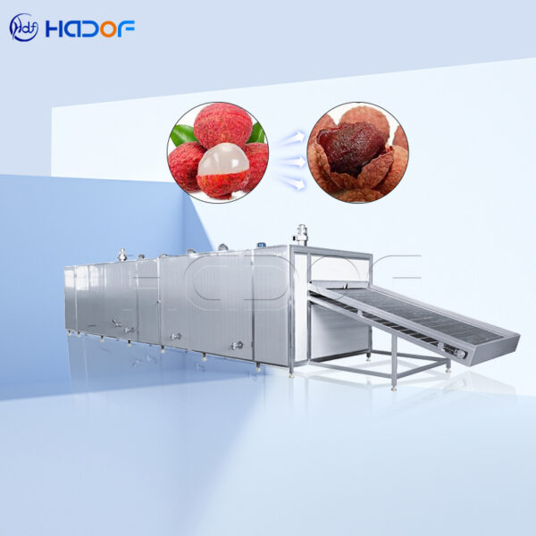 Lychee Mesh Belt Dryer