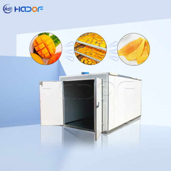 Mango Drying Oven