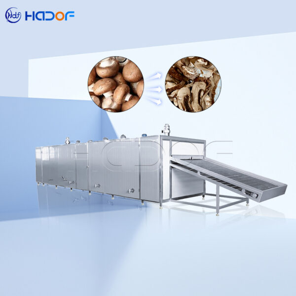 Mushroom Mesh Belt Dryer