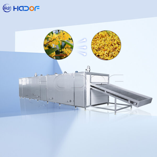 Osmanthus Mesh Belt Dryer