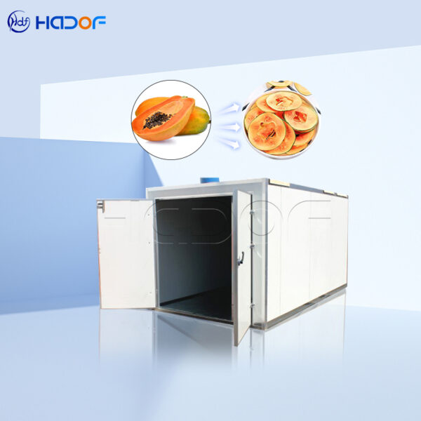Pawpaw Drying Oven