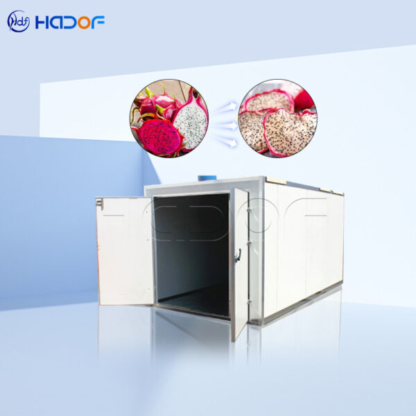 Pitaya Drying Oven
