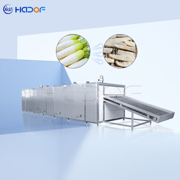 Radish Mesh Belt Dryer