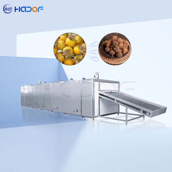 Rosa Roxburghii Trat Mesh Belt Dryer