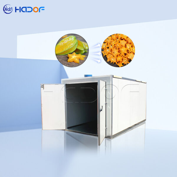Startfruit Drying Oven