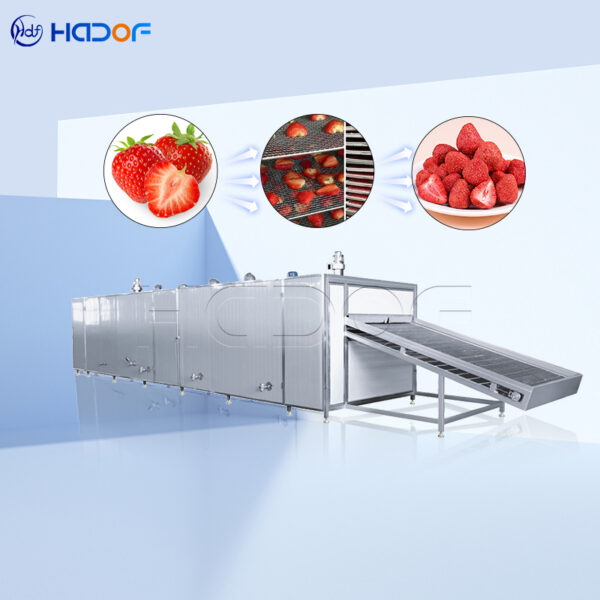 Horno de secado de fresas
