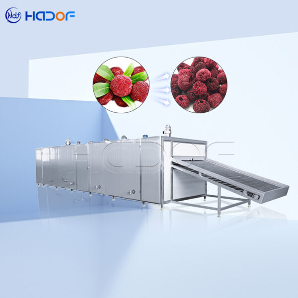 Wax Berry Mesh Belt Dryer